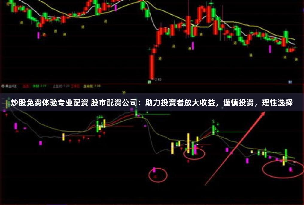 炒股免费体验专业配资 股市配资公司：助力投资者放大收益，谨慎投资，理性选择