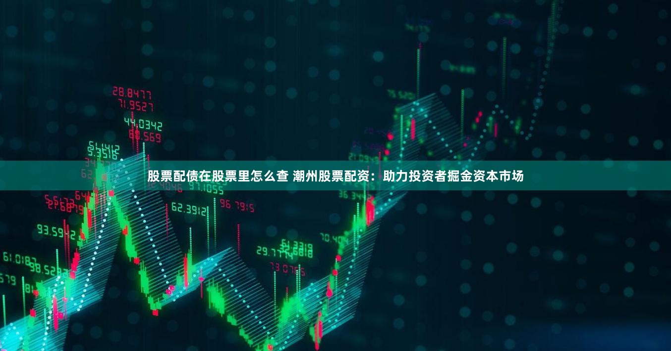 股票配债在股票里怎么查 潮州股票配资:助力投资者掘金资本市场