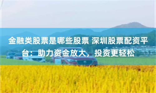 金融类股票是哪些股票 深圳股票配资平台：助力资金放大，投资更轻松